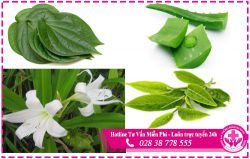 Cách chữa viêm buồng trứng bằng dân gian đơn giản hiệu quả